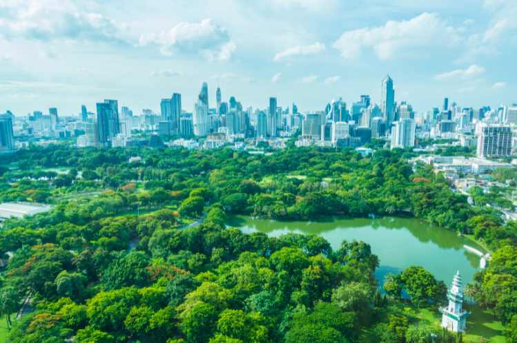 Environment & Social Impact Assessments