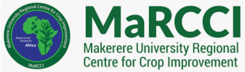 social_proof_logo